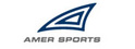 amer_logo